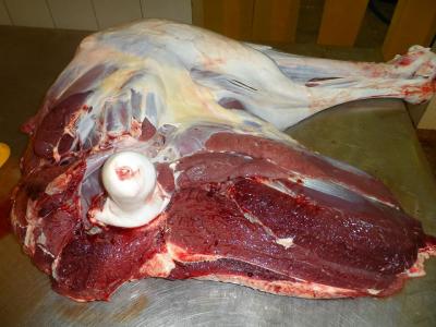  Địa Chỉ Bán Thịt Đà Điểu Tươi Ngon, Uy Tín Tại TP.HCM